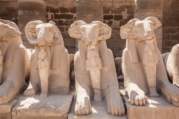 Avenue of the ram-headed Sphinxes. Karnak Temple. Luxor, Egypt