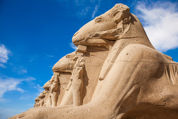Fototapeta na wymiar Avenue of the ram-headed Sphinxes. Karnak Temple. Luxor, Egypt