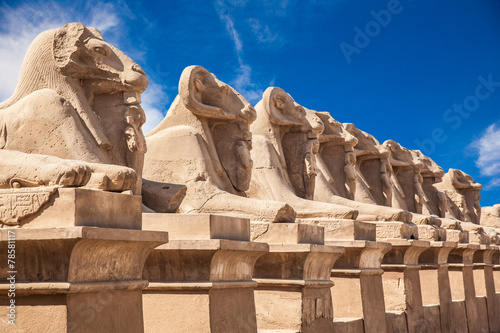 Avenue of Sphinxes, Luxor, Egypt бесплатно