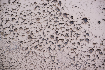 Cracked and barren ground