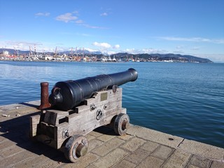 Cannone nel porto di La Spezia