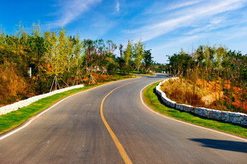 Asphalt road and green meadow and blue cloudy sky