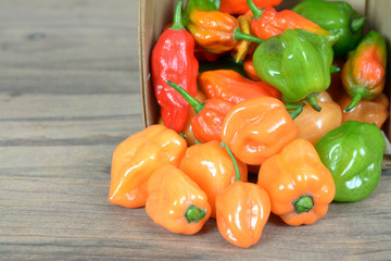 hottest pepper