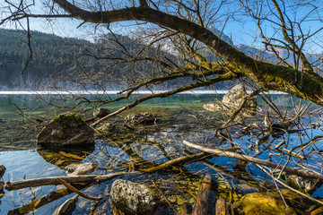 Fototapete bei efototapeten.de bestellen   
