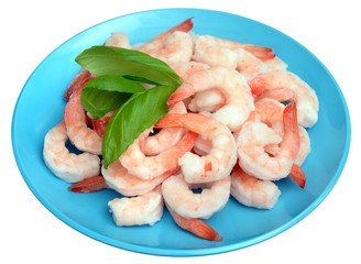 shrimp