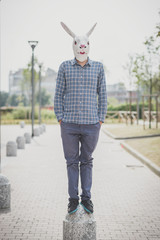 rabbit mask absurd man