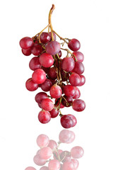 Grappolo d'uva con riflesso, soggetto isolato sfondo bianco