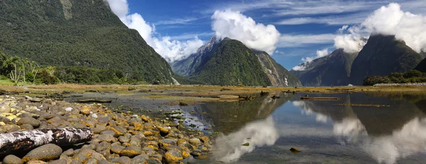 Rollo Panoramic view of Milford Sound (Fjordland, New Zealand) © Henner Damke