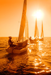 sailing Regatta