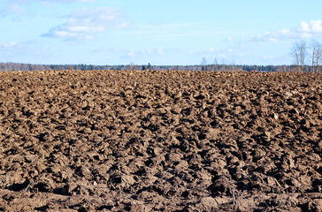 Plowed field