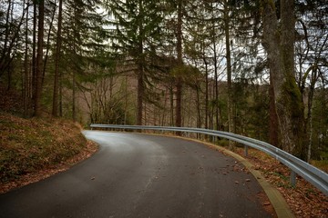 Obraz premium Road in autumn forest landscape