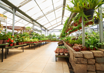 Gang durch Gewächshaus im Gartencenter