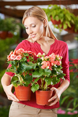 Frau hält Begonien im Gartencenter