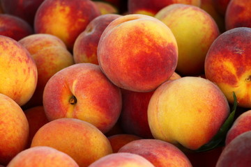 Fototapeta na wymiar Fresh peaches