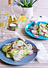Salad of radish and cucumber