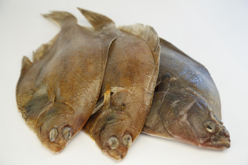 fische