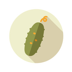Cucumber flat icon with long shadow
