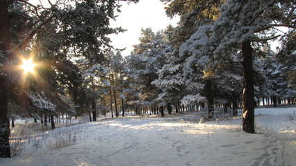 ПЕРВЫЙ ДЕНЬ НОВОГО  2015 г. © ser58063045