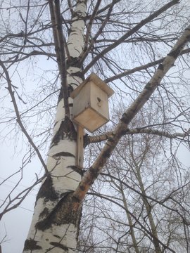 Hesting box