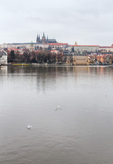 Prague