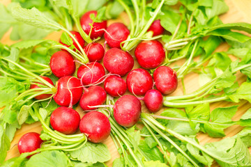 Radish