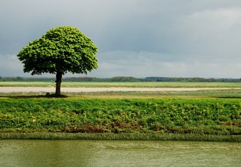 Berges de la Somme, France