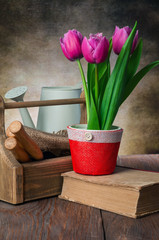 tulips pot and garden tools