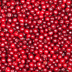 red cherry