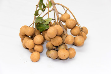 Dimocarpus longan exotic fruits isolated on white background.