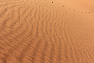Red sand dune / desert foot prints