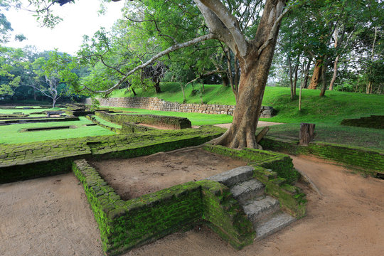 old garden in Sigiriya