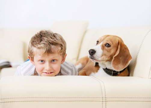 Boy and dog lying on sofa together