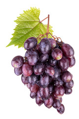 ripe red grapes with leaves