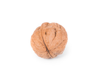Single walnut