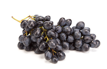 Branch of black ripe grapes.