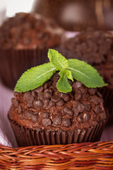 Homemade chocolate muffins in paper cupcake holder
