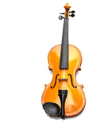 violin on white background