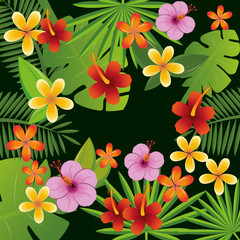 Flowers design, vector illustration.