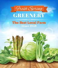 Spring vegetables poster design. Vector