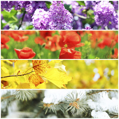 Naklejka premium Four seasons collage: winter, spring, summer, autumn