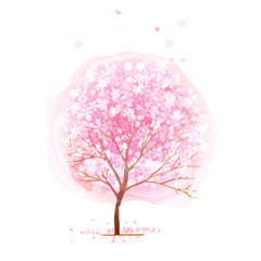 Obraz premium 桜 花 背景