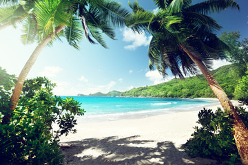 beach, Mahe island, Seychelles