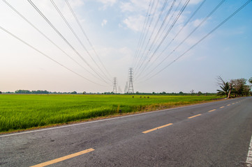 High voltage power line through the rice fields.