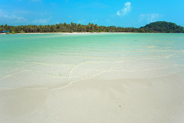 Tropical beach.