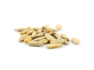 Sunflower seeds on white background