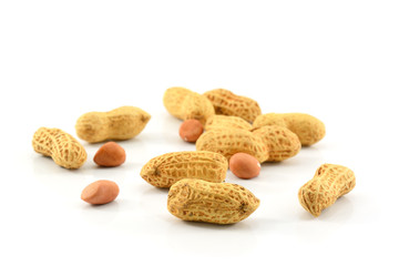 Dried peanuts in closeup on white background