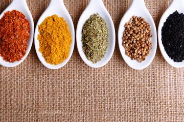 Different kinds of spices in ceramics spoons,