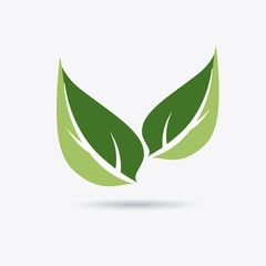 Ecology design, vector illustration.