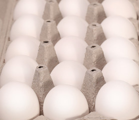 White eggs in the box. Background