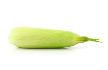 Fresh raw corn cobs isolated on the white background